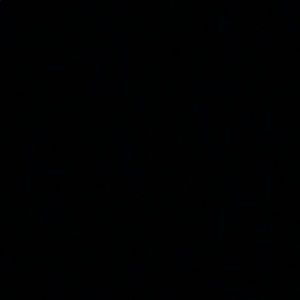 Meet your Posher, Riley